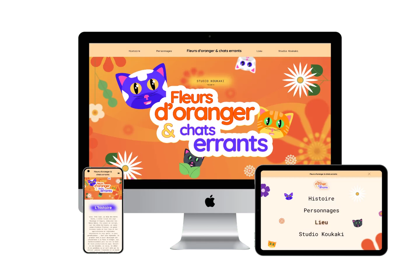 présentations d'un site en image pour mon portfolio